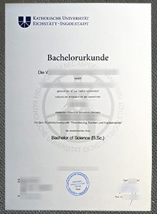 Katholische Universität Eichstätt-Ingolstadt Urkunde
