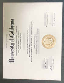 UCLA diploma certificate