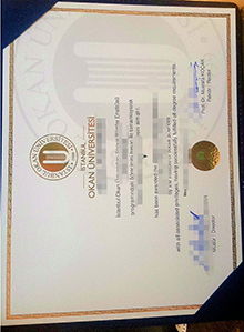 Istanbul Okan University diploma certificate