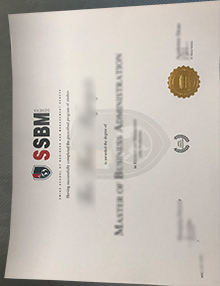 SSBM Geneva degree sample