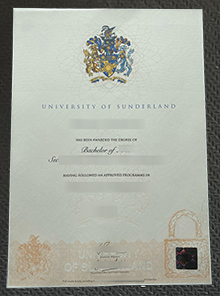 University of Sunderland degree