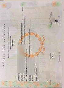 Université de Lorraine diploma certificate