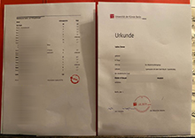 Universität der Künste Berlin diploma and transcript sample