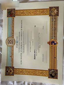 Alma Mater Studiorum – Università di Bologna laurea