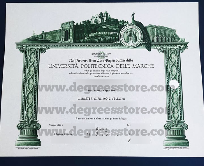 Università Politecnica delle Marche Master Laurea