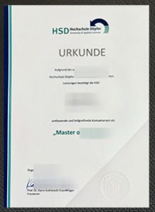 HSD Hospital Döpfer Urkunde