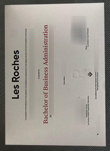 Les Roches degree