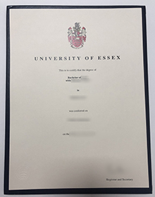 University of Essex Degree sample