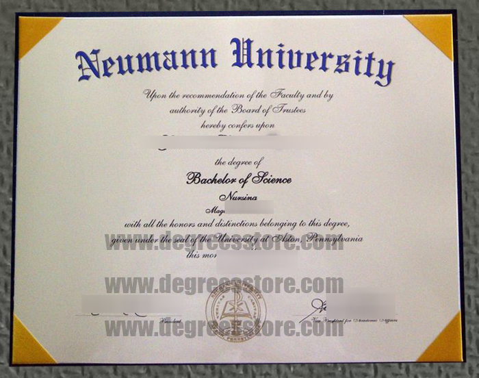 Neumann University diploma Neumann University diploma