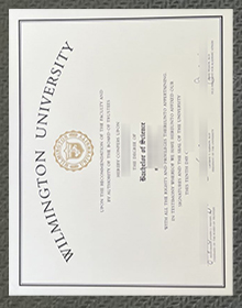 Wilmington University diploma sample