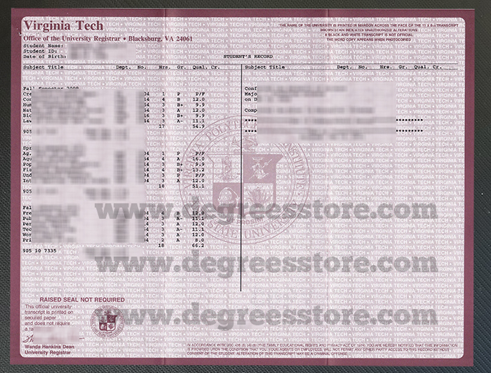 Virginia Tech transcript