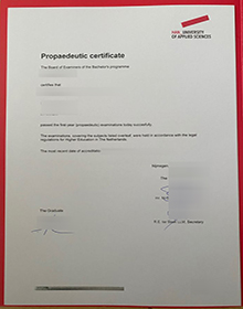 HAN University of Applied Sciences diploma sample