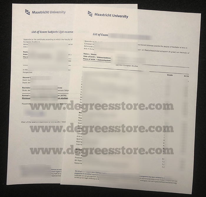 Maastricht University transcript