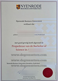 Nyenrode Business University diploma