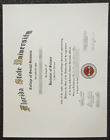 Florida State University Diploma sample