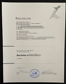 Hochschule Wismar Urkunde sample
