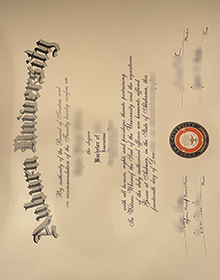 Auburn University diploma sample
