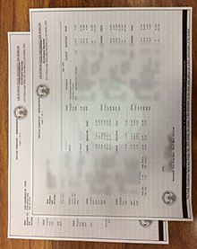 CSUSM transcript