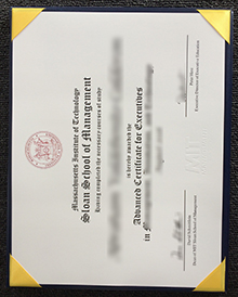 MIT Sloan School of Management Certificate