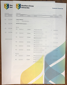 Southern Cross University transcript