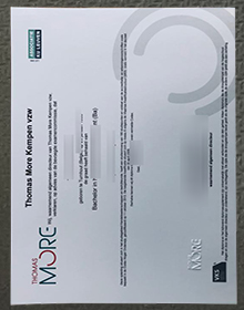 Thomas More Kempen vzw diploma