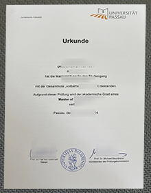 Universität Passau urkunde
