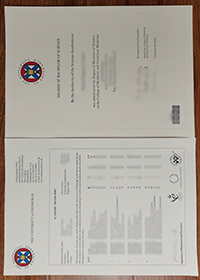 University of Edinburgh degree and transcript
