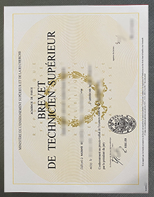 Academie de Paris Brevet de Technicien Superieur SAMPLE