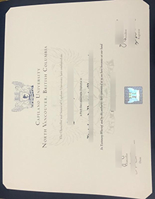 pilano University diploma sample