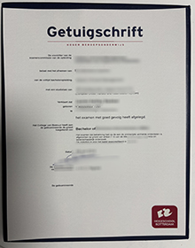 Hogeschool Rotterdam Getuigschrift