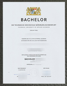 Technische Hochschule Würzburg-Schweinfurt urkunde sample