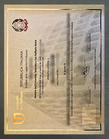 Università telematica San Raffaele Laurea sample