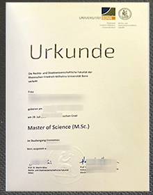 Universität Bonn Urkunde (