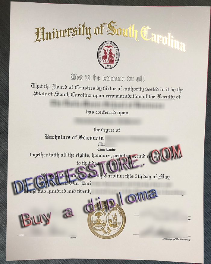 University of South Carolina degree University of South Carolina degree
