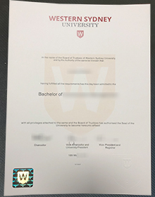 Western Sydney University degree